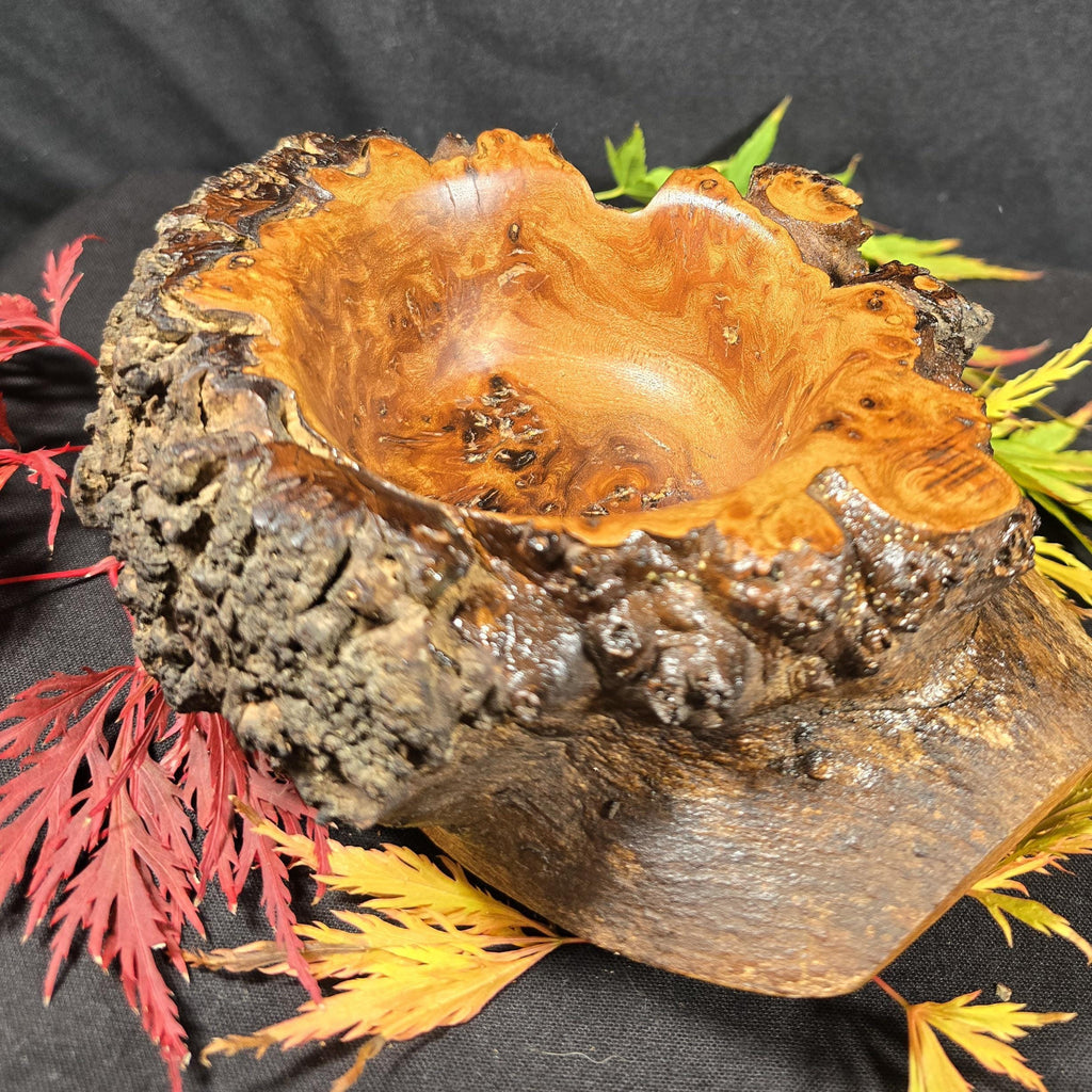 Rustic Elm Burr Handturned Bowl