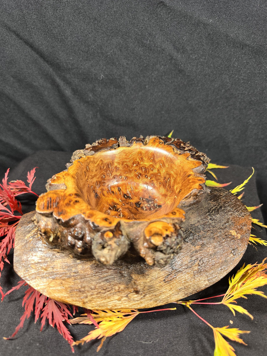 Rustic Elm Burr Handturned Bowl