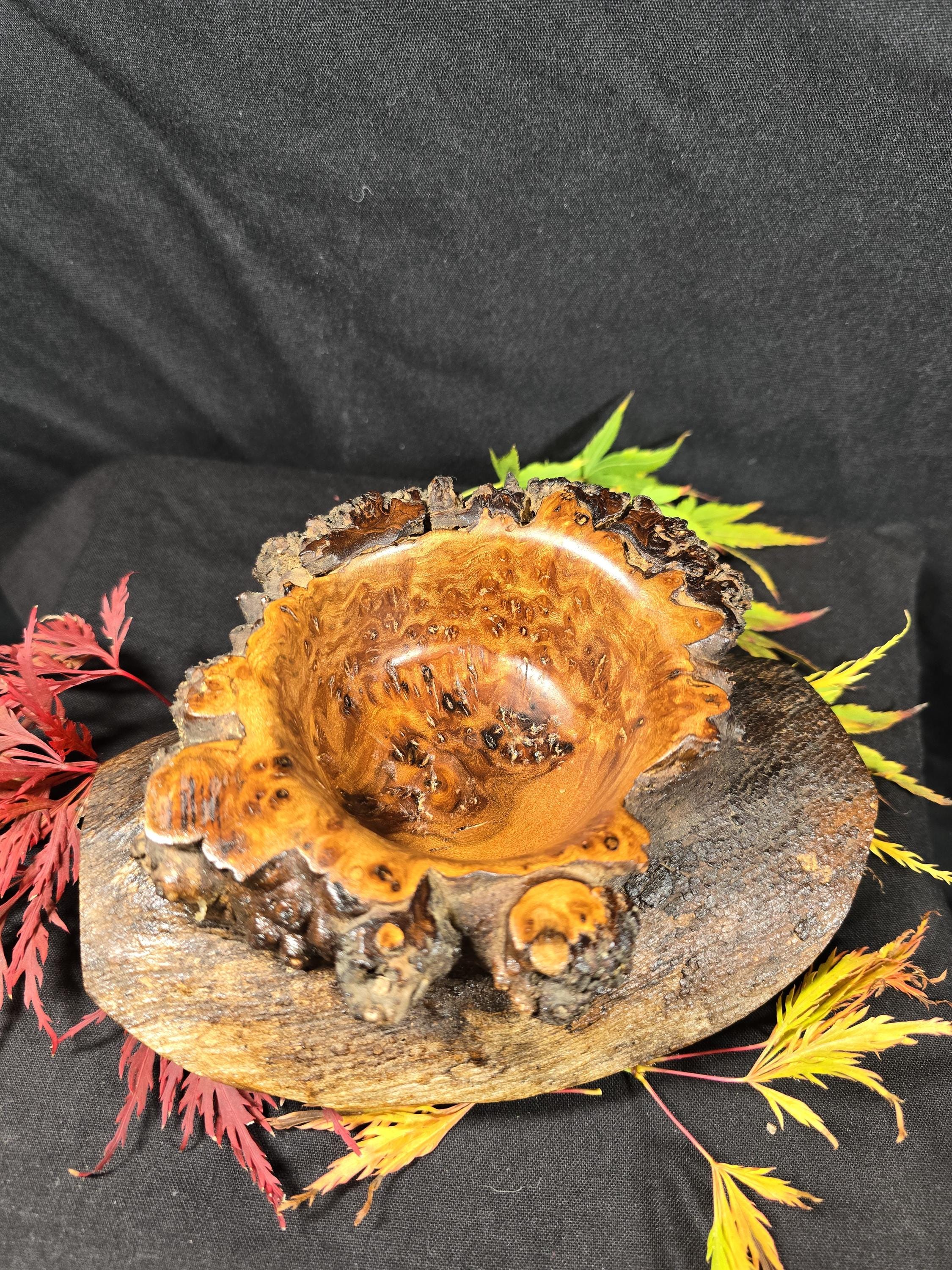 Rustic Elm Burr Handturned Bowl