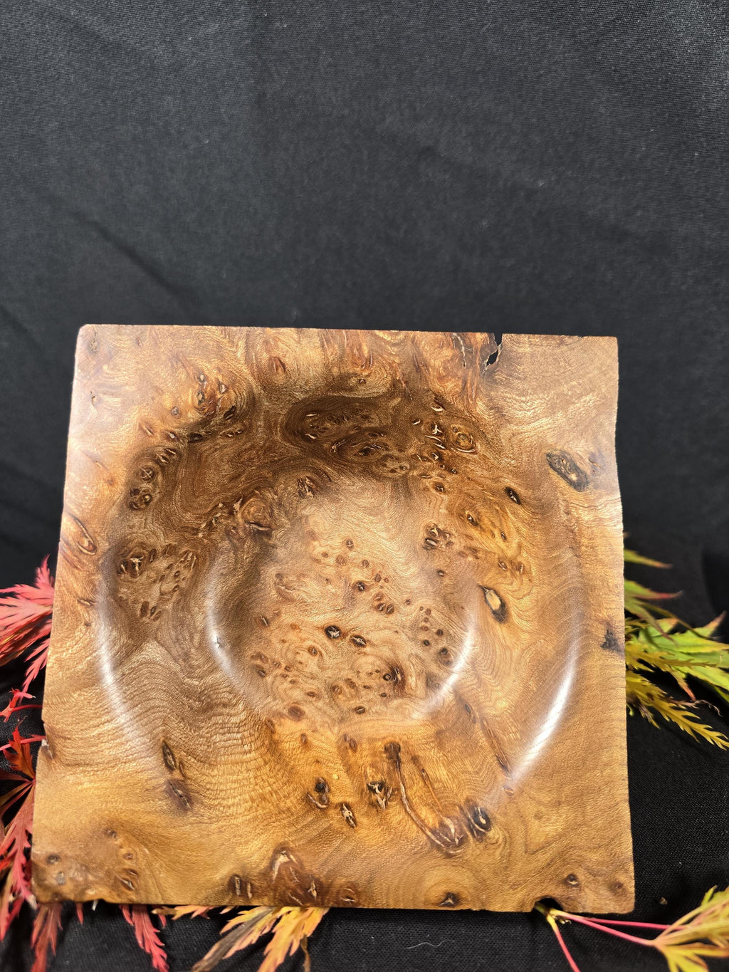 Square Elm Burr Bowl
