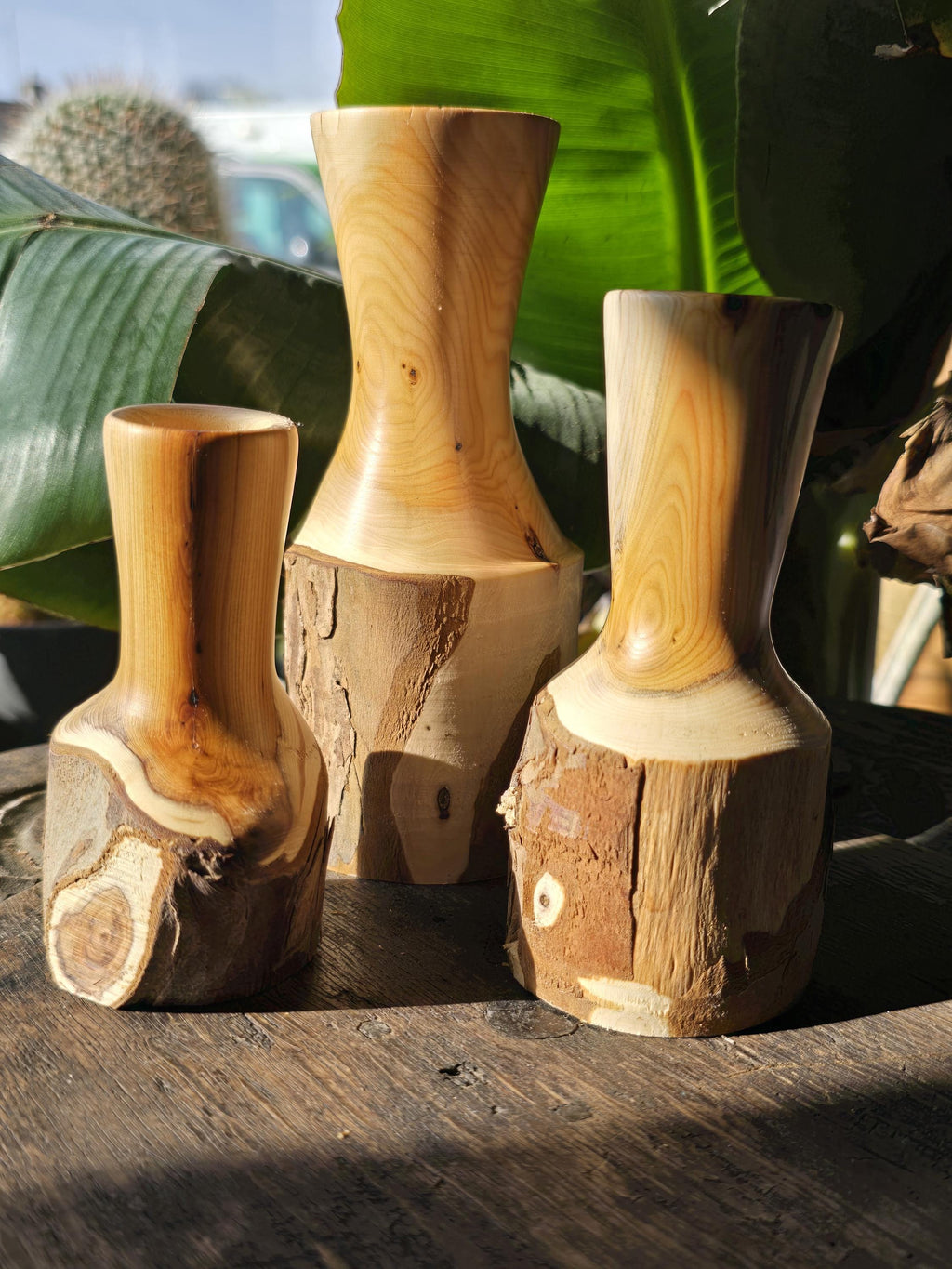 Yew bud vases trio