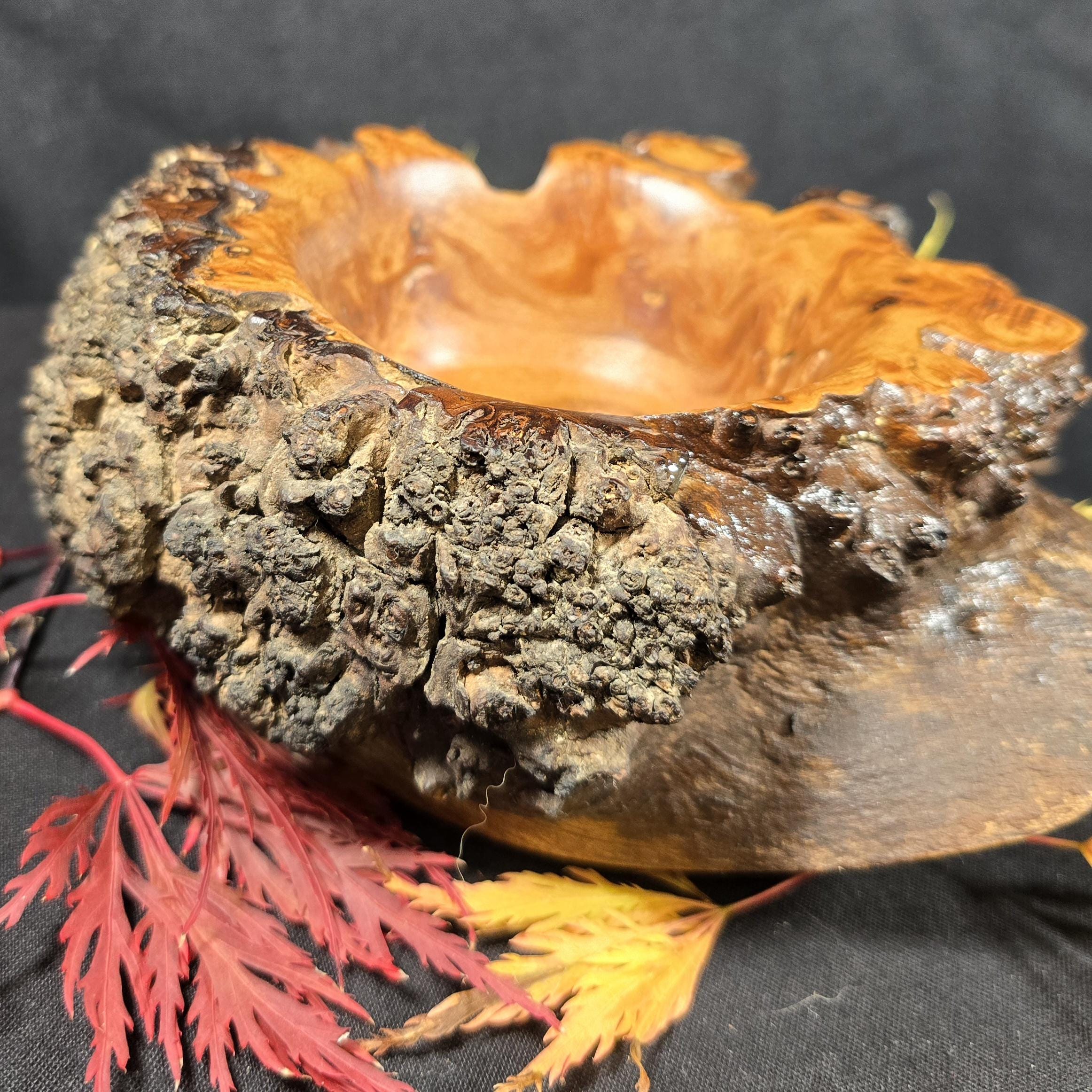 Rustic Elm Burr Handturned Bowl