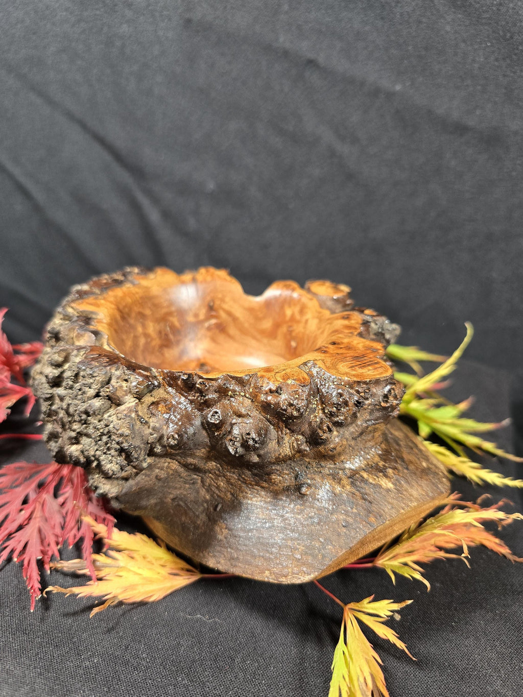 Rustic Elm Burr Handturned Bowl