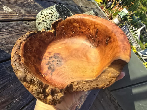 Burr elm bowl