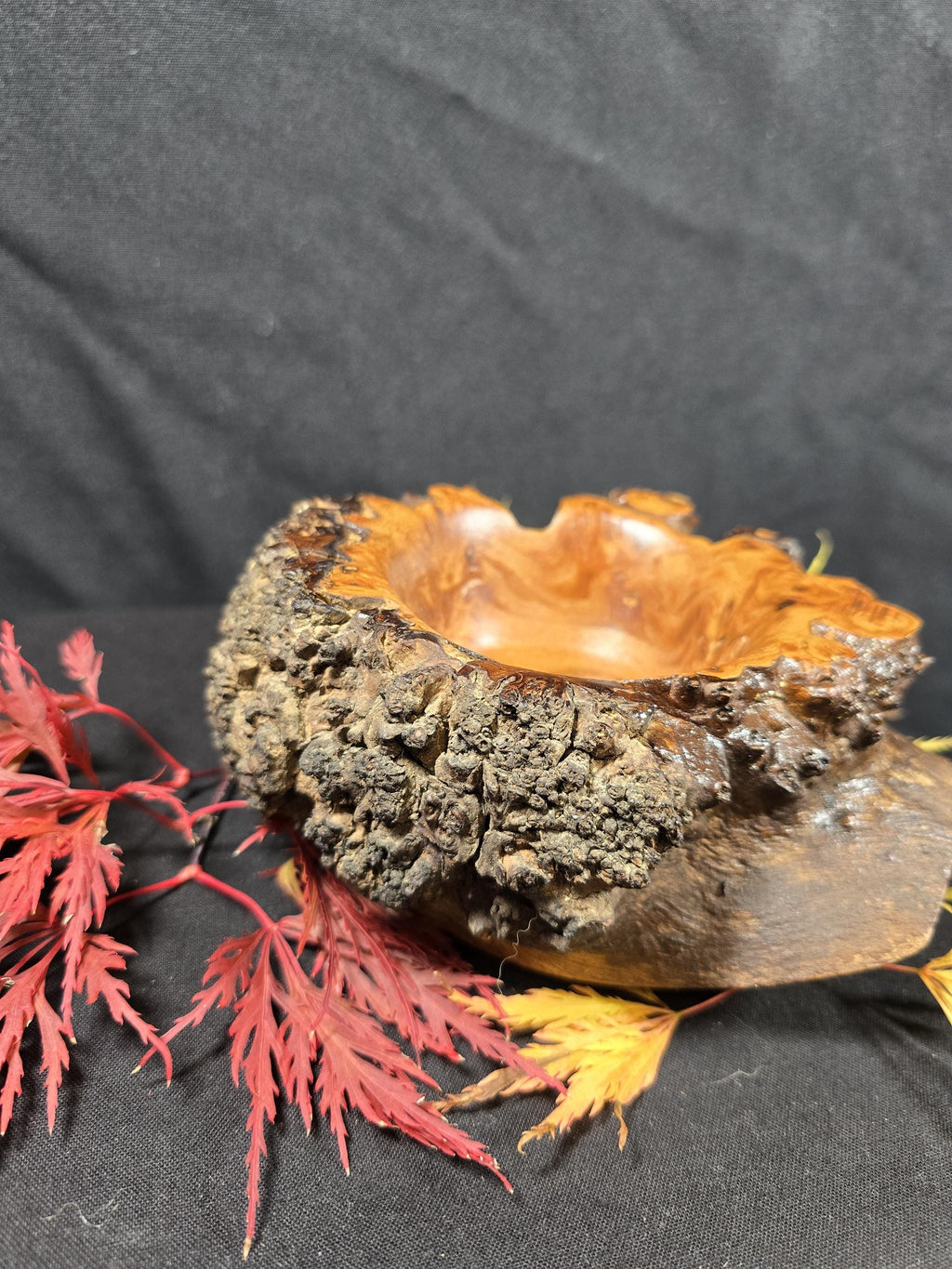 Rustic Elm Burr Handturned Bowl