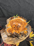 Rustic Elm Burr Handturned Bowl