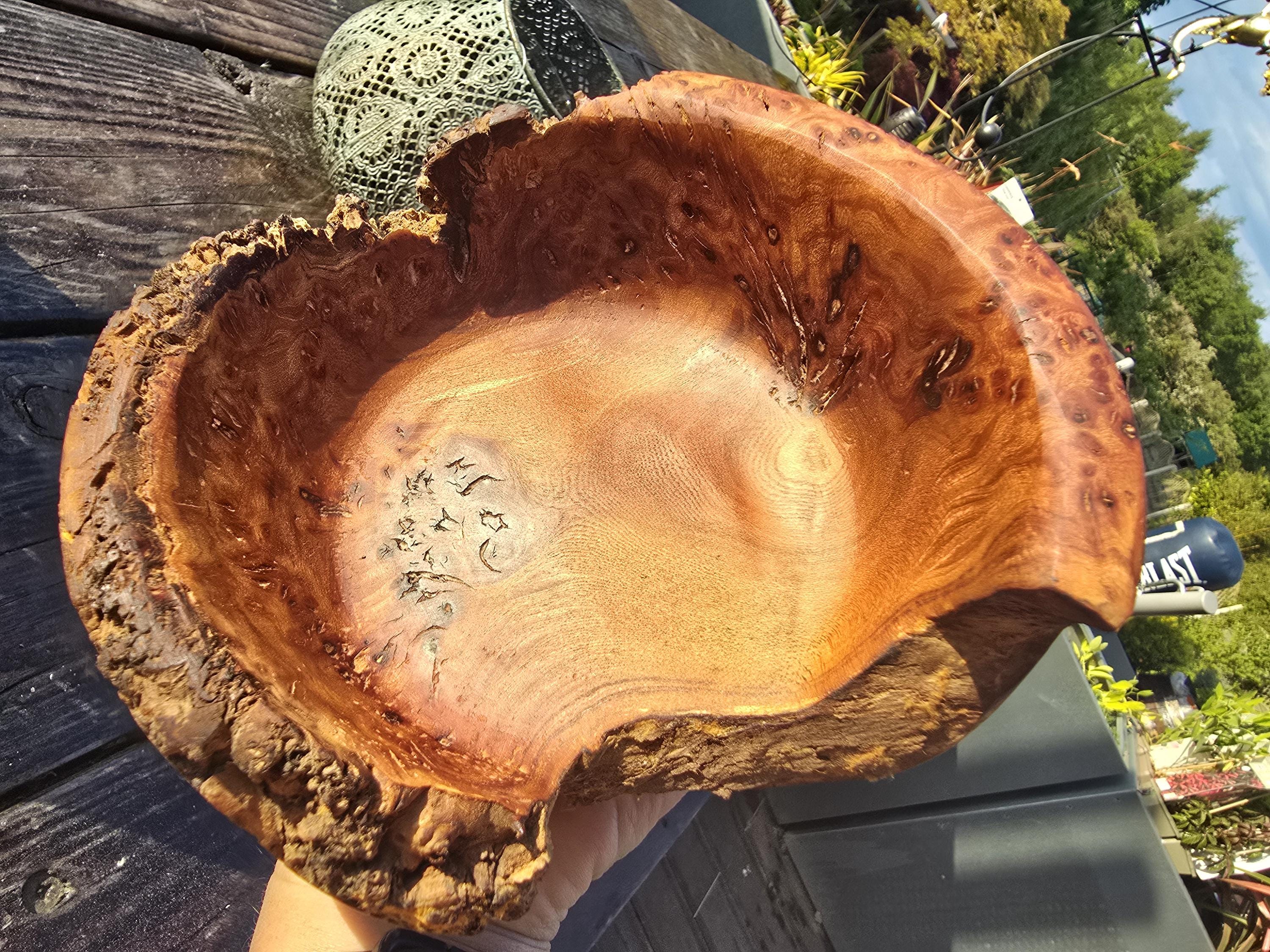 Burr elm bowl