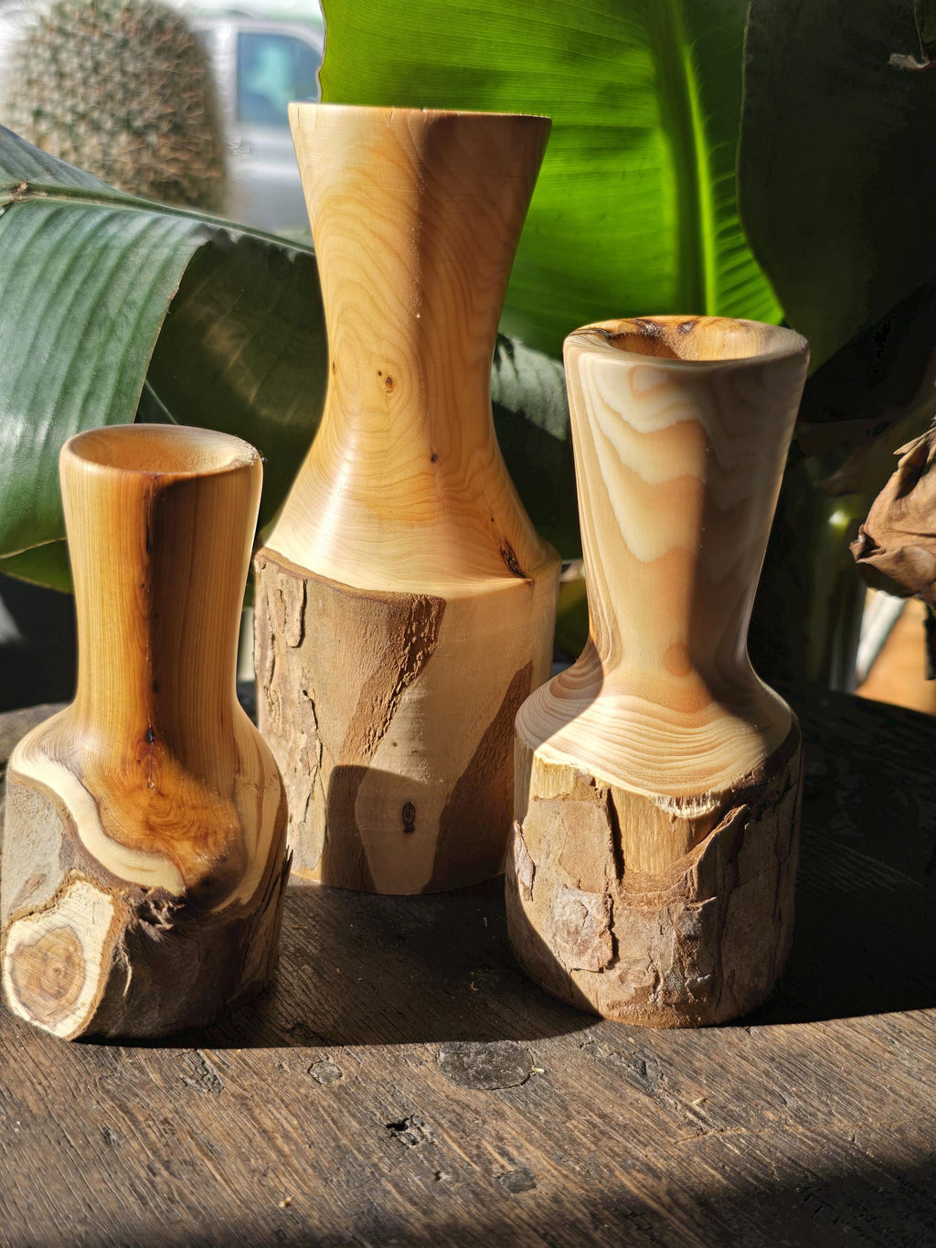 Yew bud vases trio