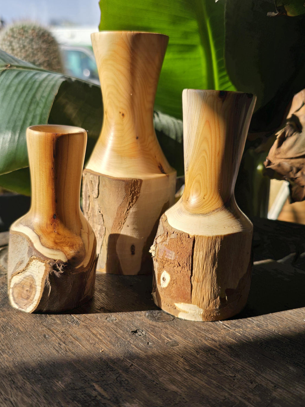 Yew bud vases trio