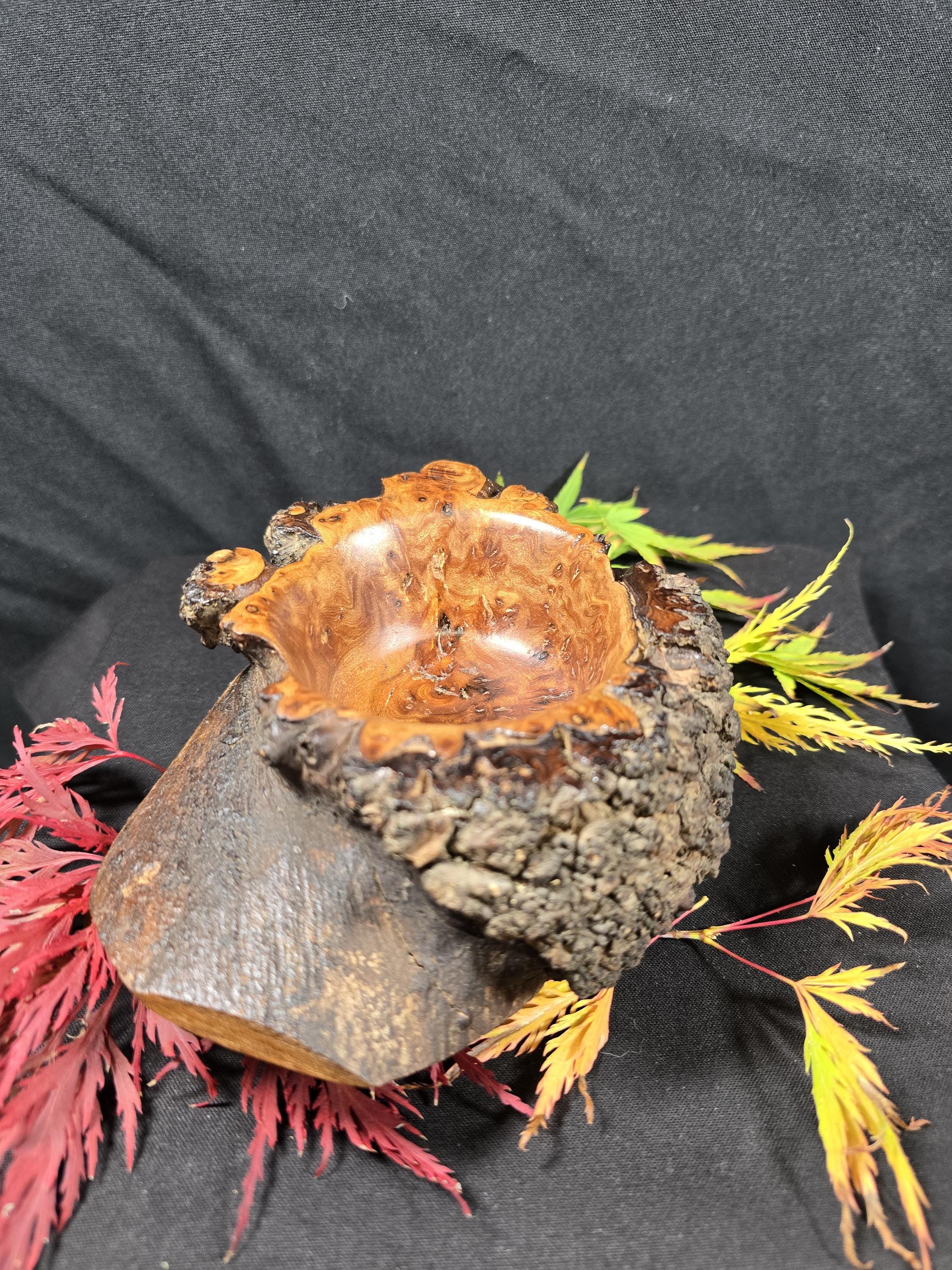 Rustic Elm Burr Handturned Bowl