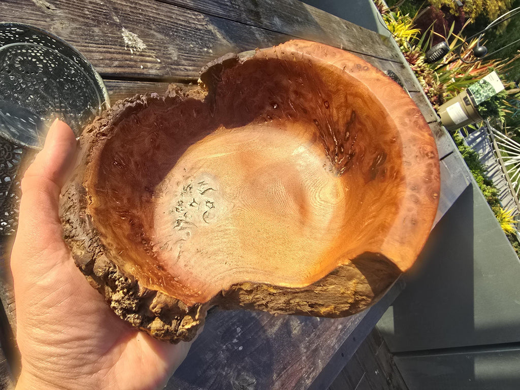 Burr elm bowl