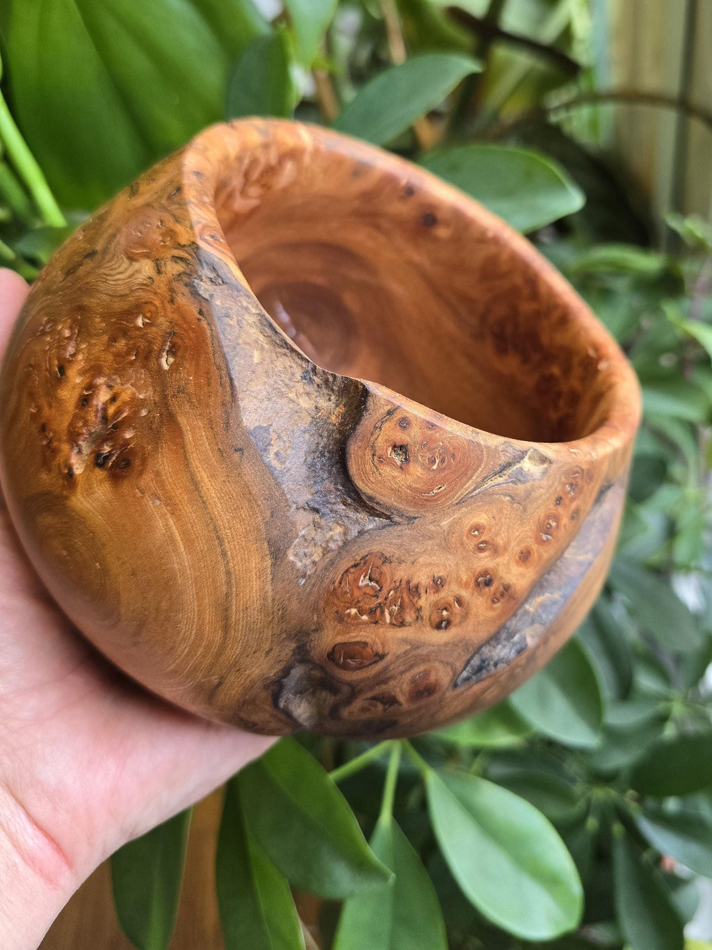 Burr elm bowl
