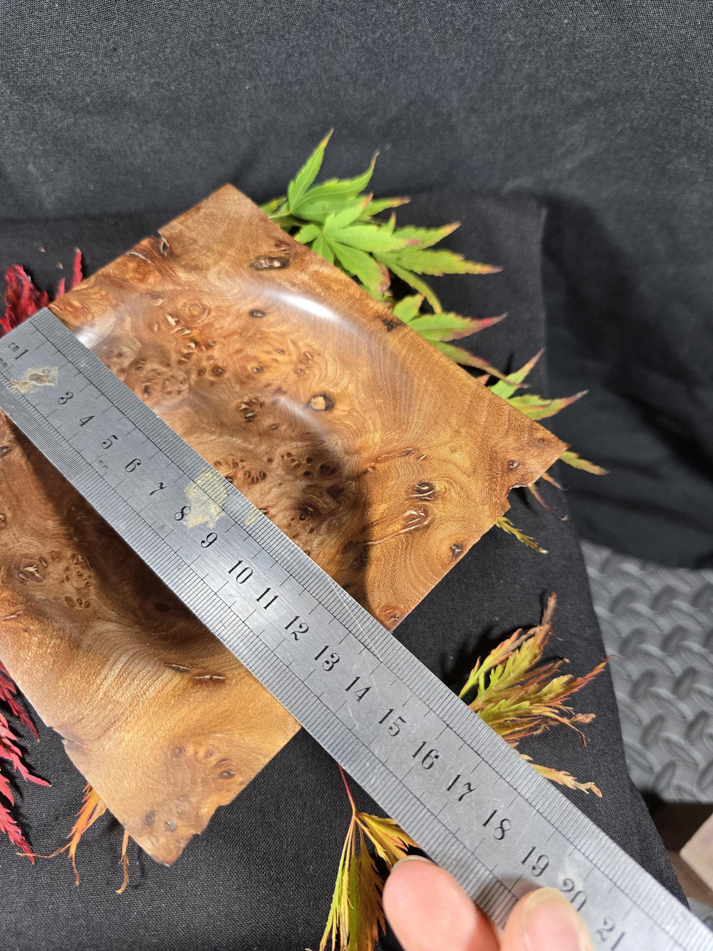 Square Elm Burr Bowl