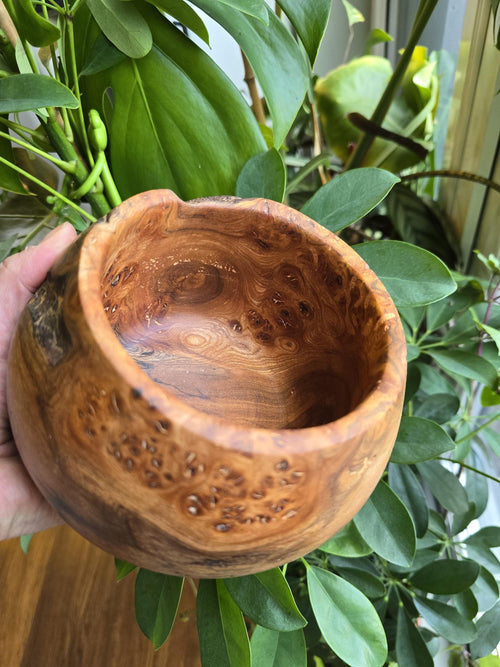 Burr elm bowl